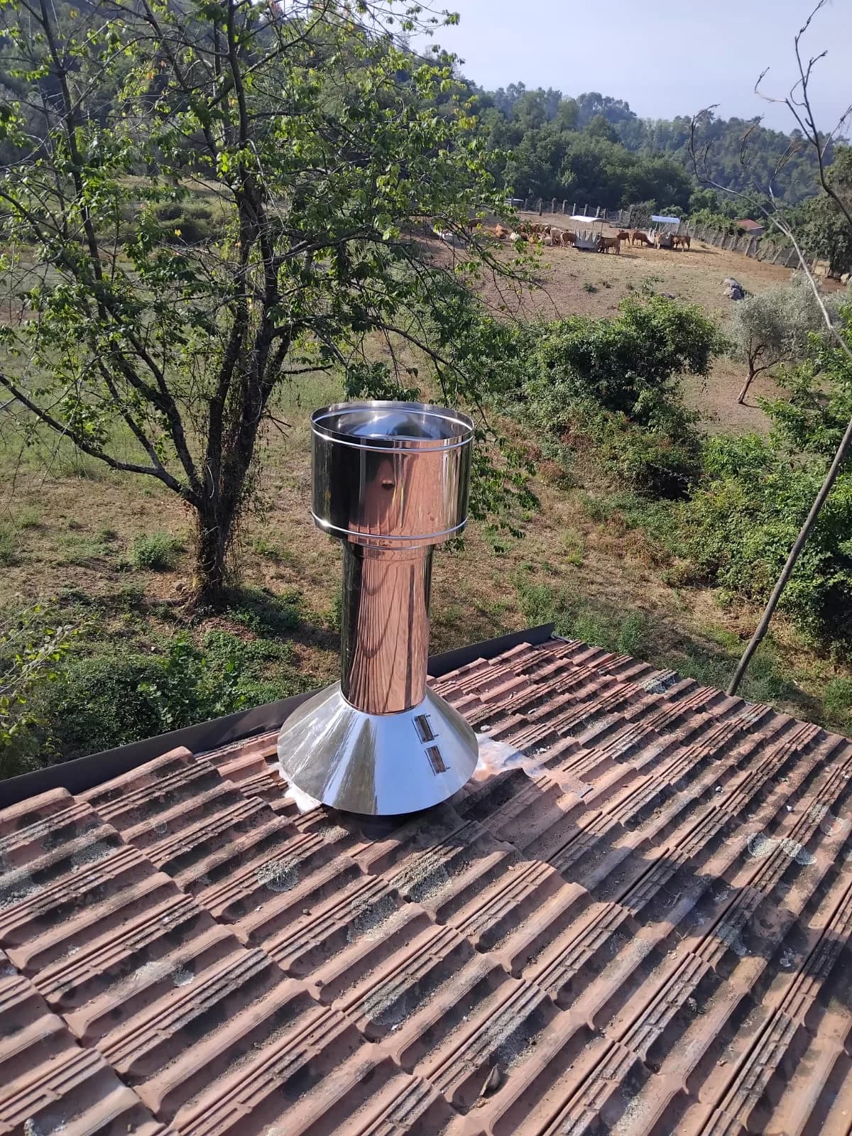 Dettaglio del terminale in copertura